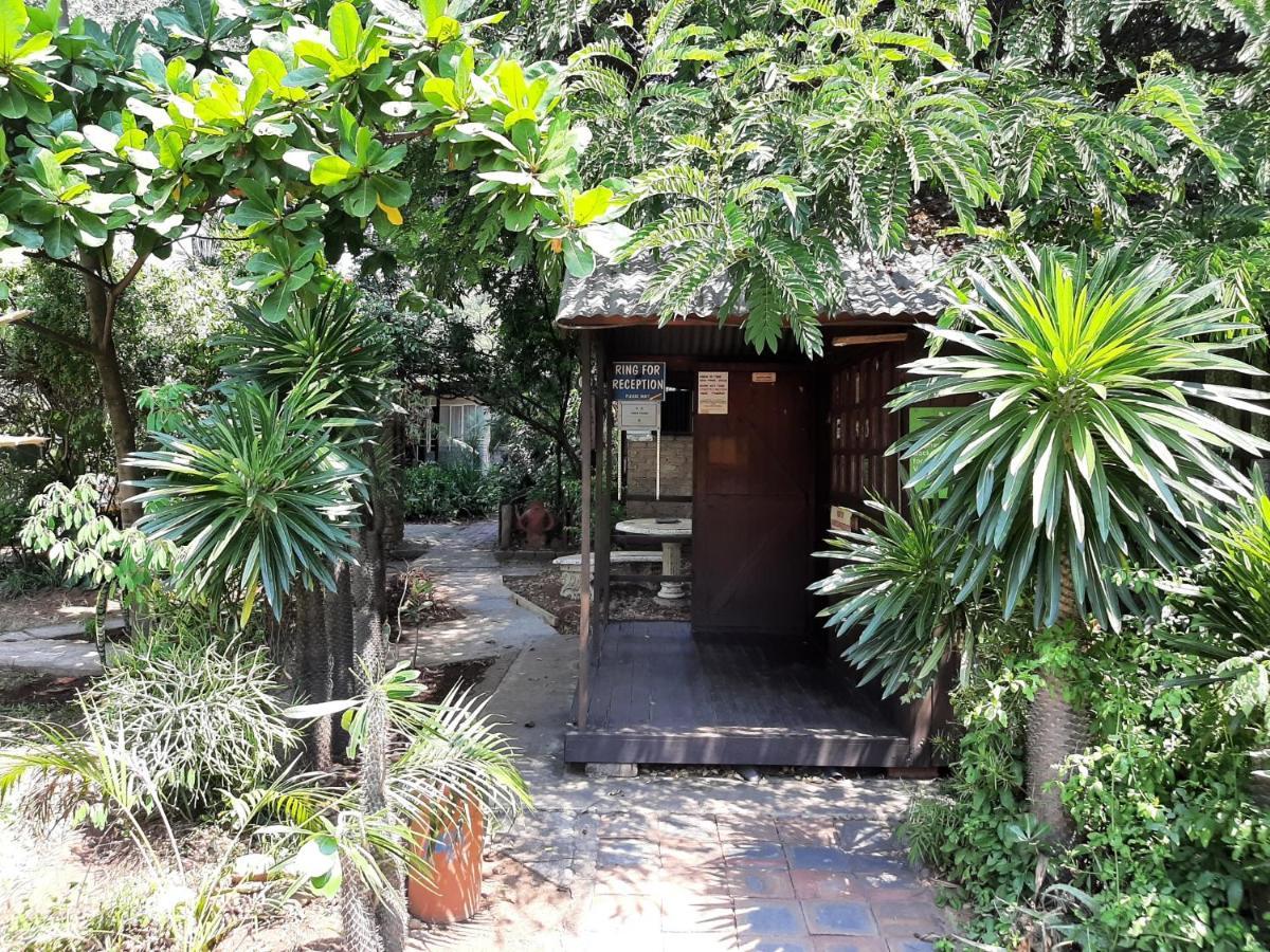 Elephant Walk Guesthouse And Back Packers Phalaborwa Zewnętrze zdjęcie